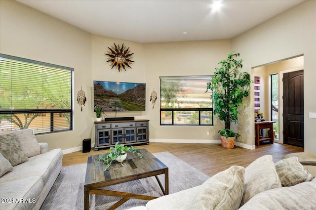 living room with hardwood / wood-style floors