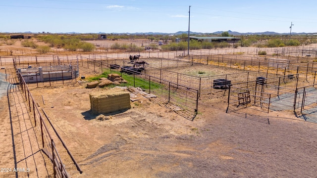 view of yard featuring a mountain view and a rural view