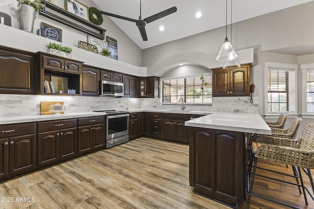 kitchen featuring stainless steel appliances, dark brown cabinets, and backsplash