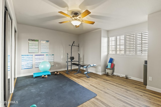 workout room with hardwood / wood-style floors and ceiling fan