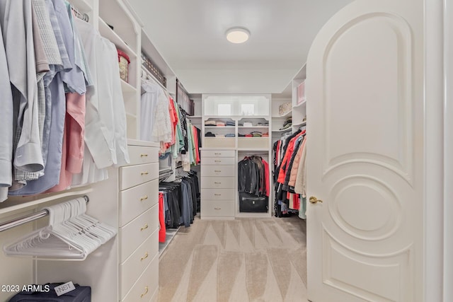 spacious closet featuring light colored carpet