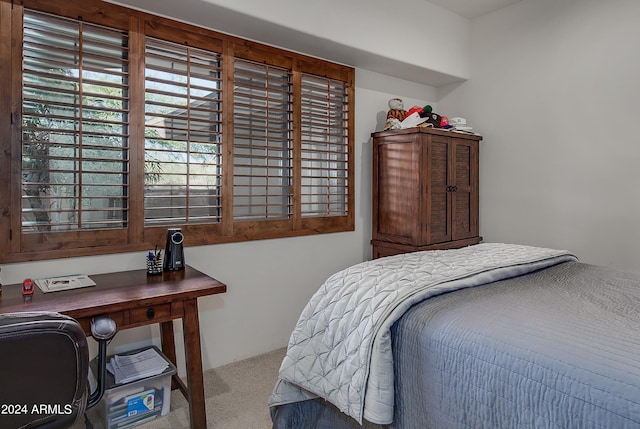 bedroom with carpet floors