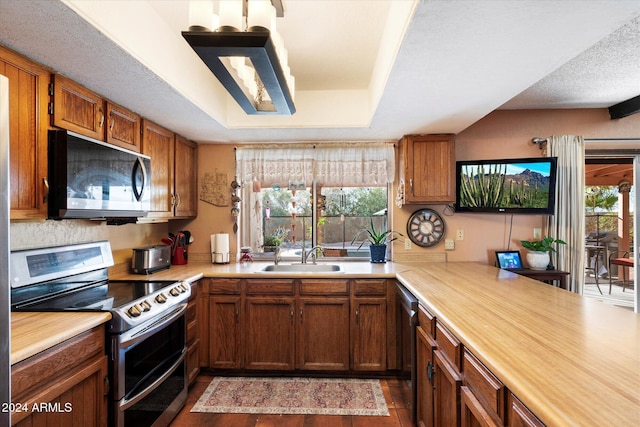 kitchen featuring appliances with stainless steel finishes, a tray ceiling, a healthy amount of sunlight, and sink