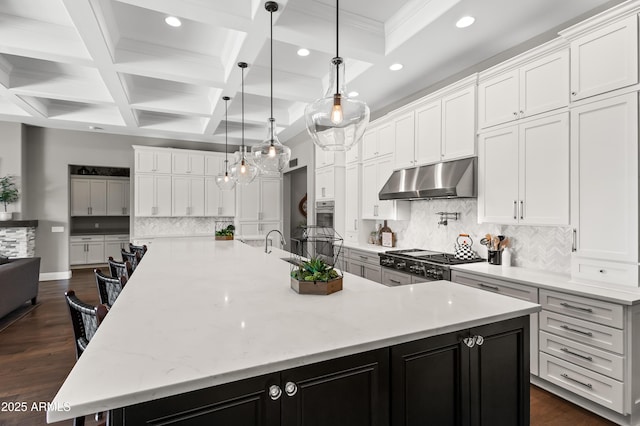 5415 E Chaparosa Way, Cave Creek, AZ 85331 - kitchen with under cabinet range hood, recessed lighting, a large island with sink, white cabinetry, and beam ceiling
