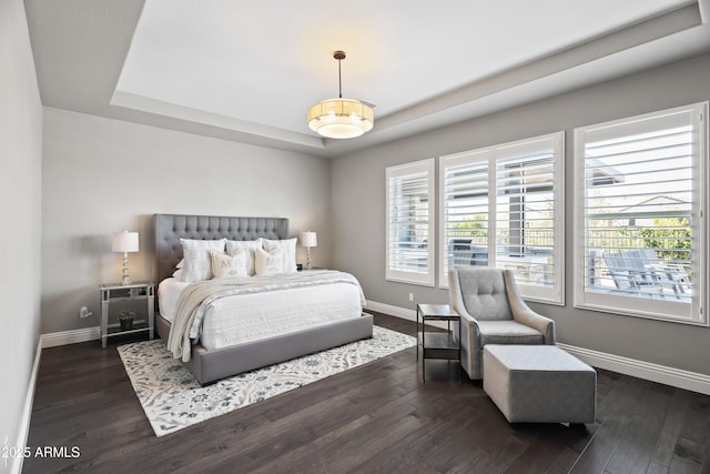 5415 E Chaparosa Way, Cave Creek, AZ 85331 - bedroom with a tray ceiling, dark wood finished floors, and baseboards