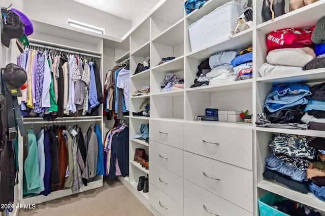 walk in closet featuring light carpet