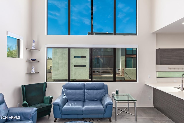 living room with a high ceiling