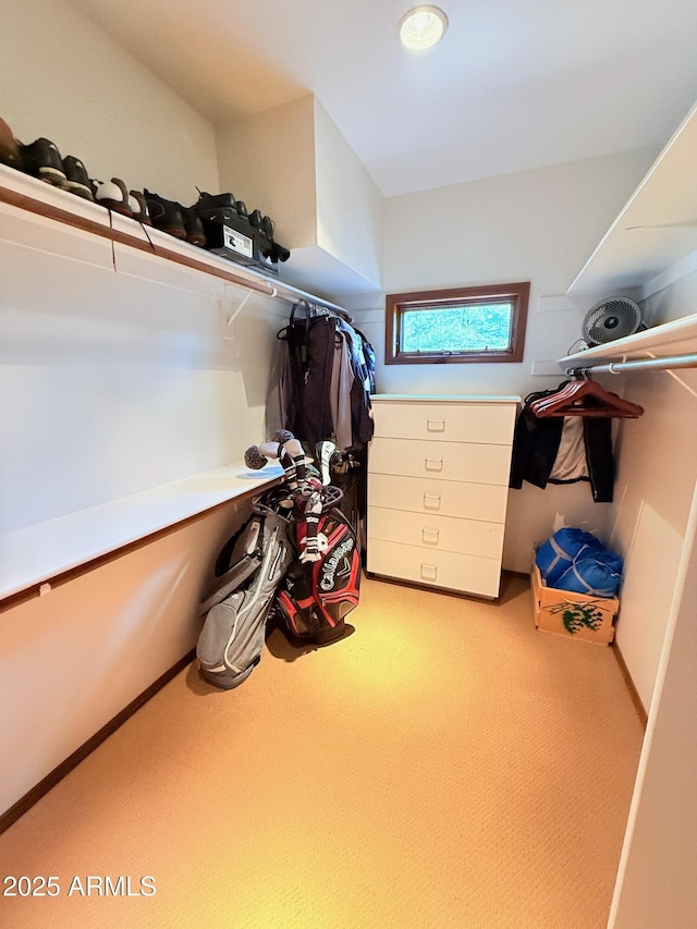 spacious closet with light colored carpet