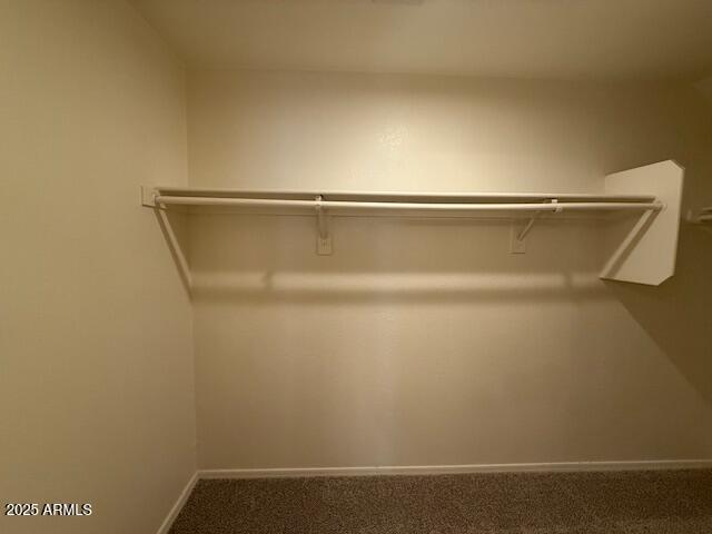 15655 N 29th St, Phoenix, AZ 85032 - spacious closet featuring carpet