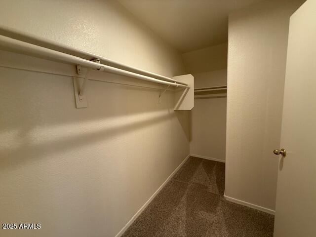 15655 N 29th St, Phoenix, AZ 85032 - walk in closet with dark carpet