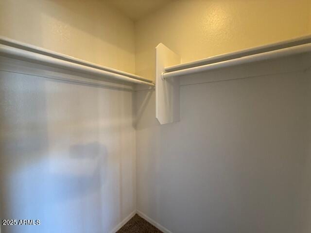 15655 N 29th St, Phoenix, AZ 85032 - spacious closet featuring carpet flooring