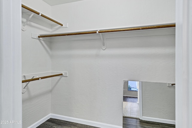 1003 E Princeton Ave, Gilbert, AZ 85234 - spacious closet with dark wood finished floors