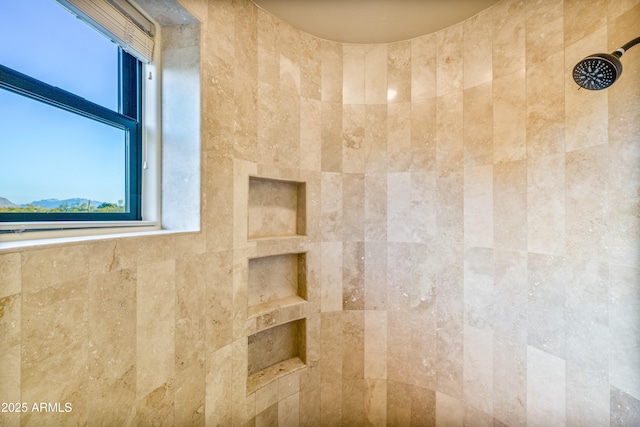 interior details featuring walk in shower