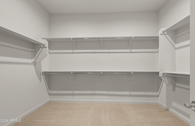 spacious closet featuring light carpet