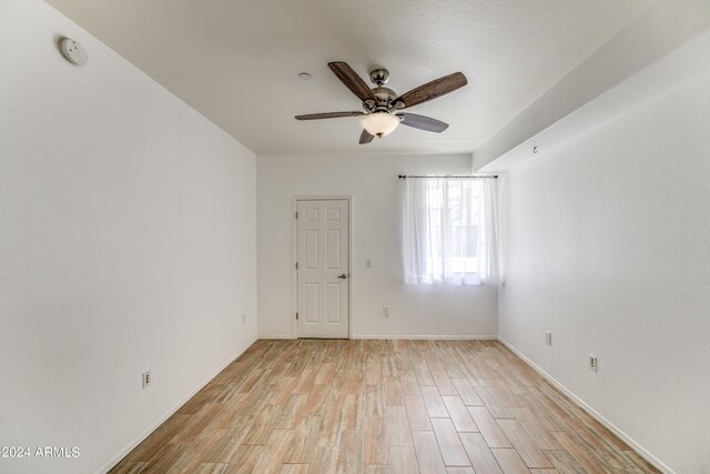 spacious closet with light wood-type flooring