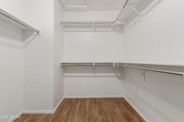 view of spacious closet