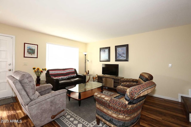 living room featuring dark hardwood / wood-style flooring