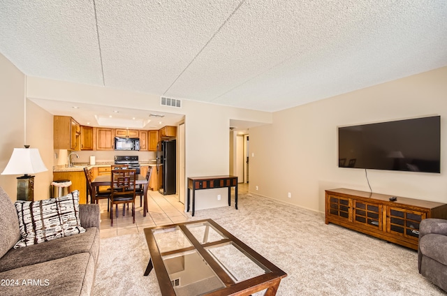 carpeted living room with sink and a textured ceiling