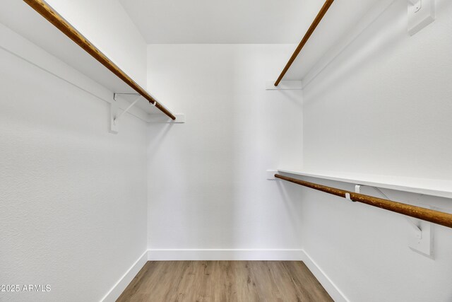 3614 W Danbury Dr, Glendale, AZ 85308 - walk in closet featuring light wood-style floors