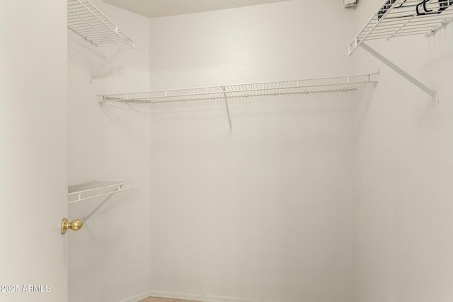 view of spacious closet