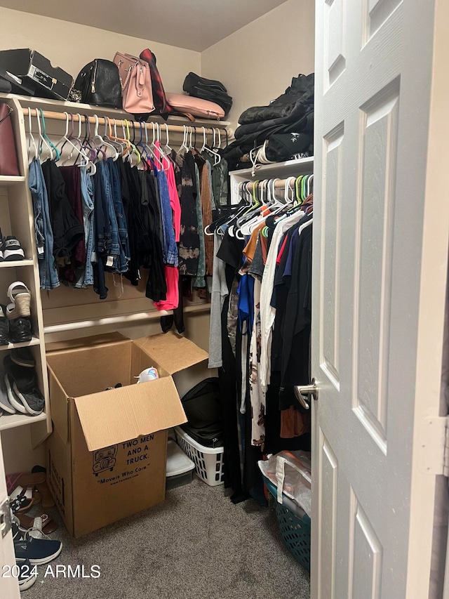 spacious closet with carpet flooring