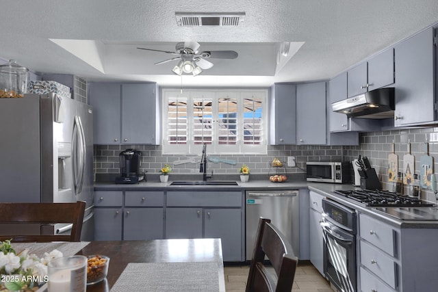 kitchen with gray cabinets, appliances with stainless steel finishes, tasteful backsplash, sink, and a raised ceiling