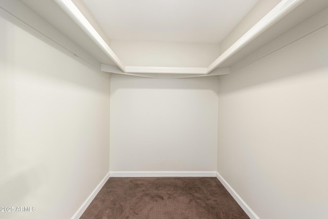 5208 S Deborah Dr, Tempe, AZ 85283 - spacious closet with carpet flooring