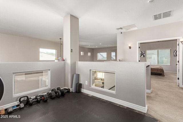 exercise area with carpet and a healthy amount of sunlight