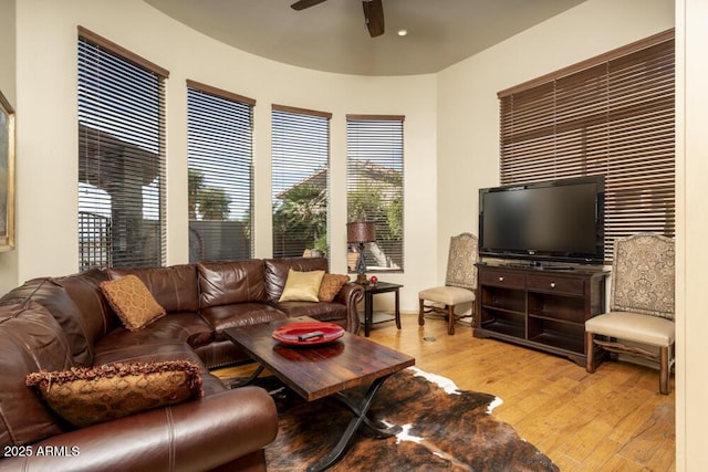 living room with ceiling fan and light hardwood / wood-style flooring