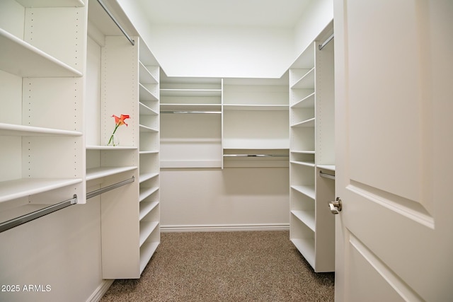 7775 E Fledgling Dr, Scottsdale, AZ 85255 - spacious closet with carpet flooring