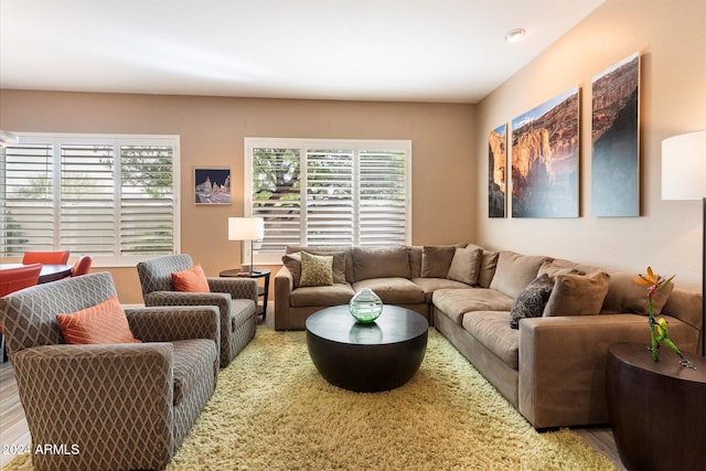 living room featuring wood-type flooring