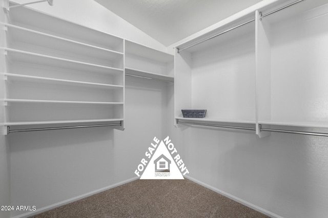 walk in closet with carpet and lofted ceiling