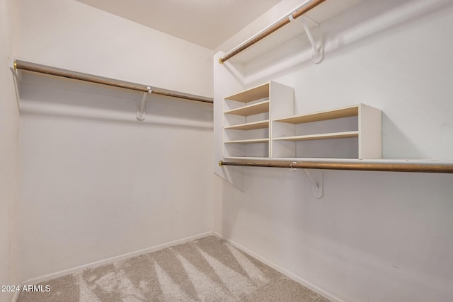 walk in closet featuring carpet floors