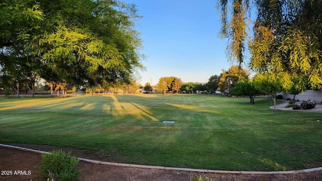 view of community with a lawn