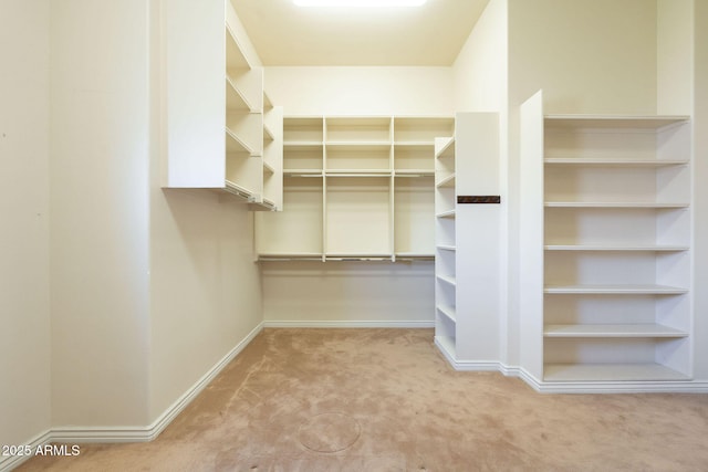 walk in closet featuring carpet floors