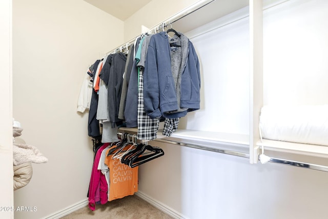 spacious closet featuring carpet floors