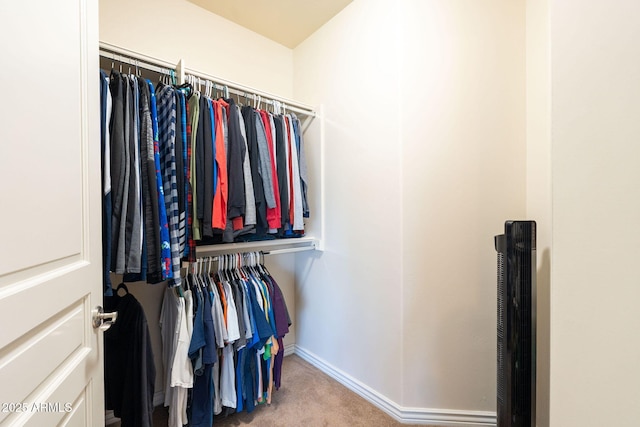 spacious closet featuring carpet flooring