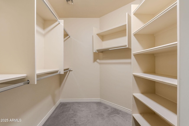 spacious closet with carpet floors