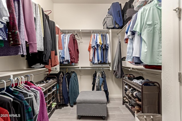 view of spacious closet