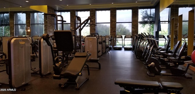 exercise room featuring a wealth of natural light and floor to ceiling windows