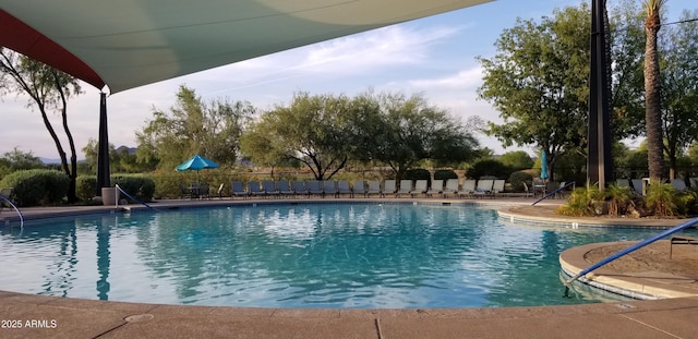 view of swimming pool