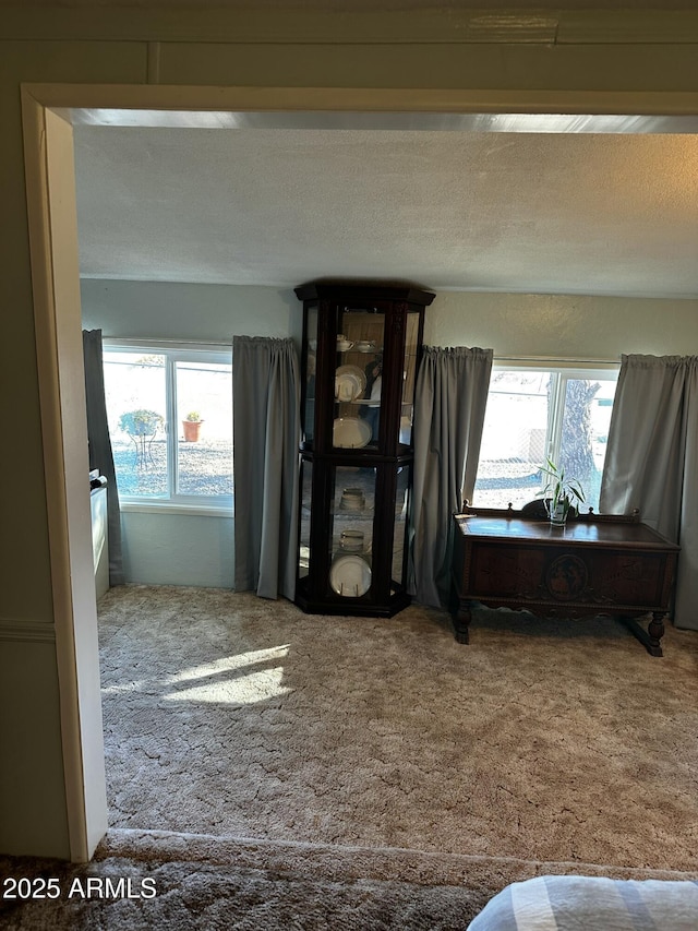 13638 S Sage Brush Dr, Mayer, AZ 86333 - interior space with carpet floors and a textured ceiling