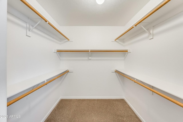 spacious closet with carpet flooring