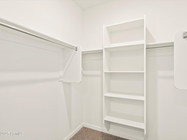 walk in closet with carpet floors