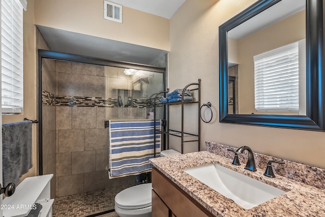 bathroom with vanity, toilet, a wealth of natural light, and an enclosed shower