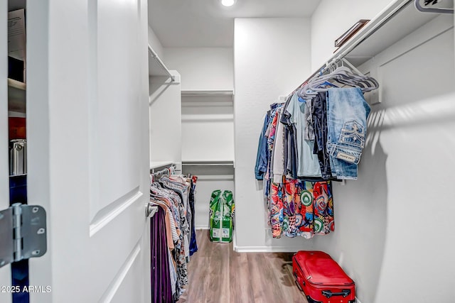 walk in closet featuring wood-type flooring