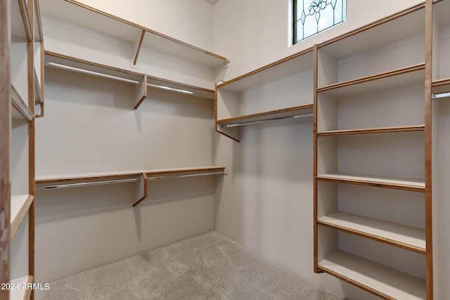 spacious closet with carpet flooring