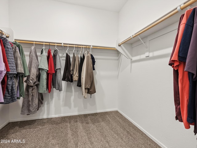 walk in closet featuring carpet floors