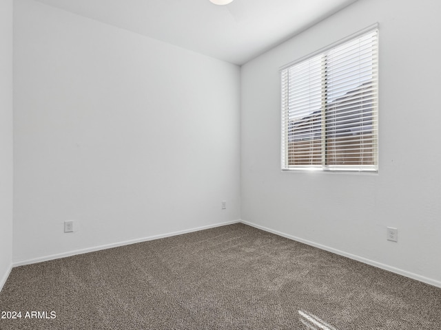 unfurnished room with carpet