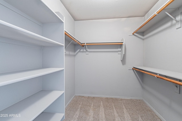 walk in closet featuring light colored carpet